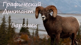Графический Диктант Барашек