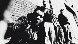 Aphids! - Ring Ring (Official Music Video)