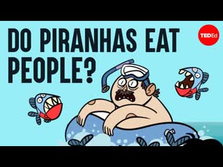 What happens when you fall into piranha-infested waters - Antonio Machado-Allison