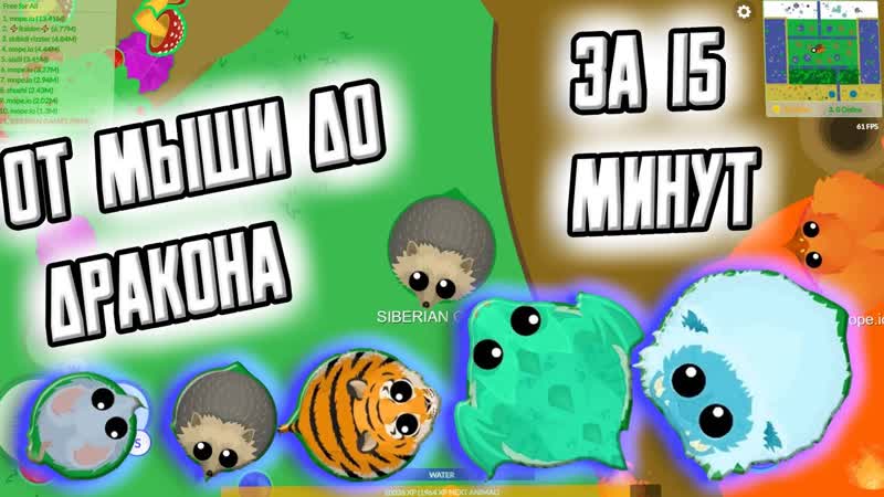 ОТ МЫШИ ДО ДРАКОНА ЗА 15 МИНУТ MOPE