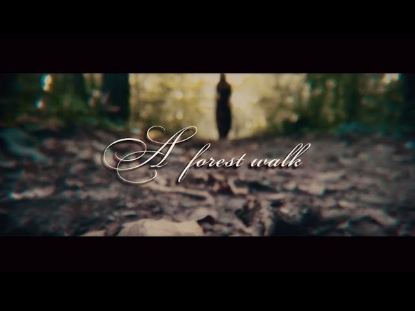 A forest