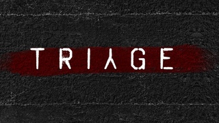 Trige - Ambitious but not entirely functional. (half life 2 mod)