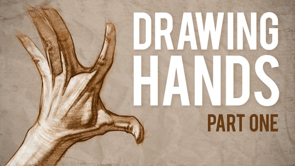 How to Draw HANDS Muscle Anatomy of the