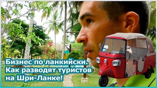 Бизнес по ланкийски. Как разводят на Шри-Ланке №115