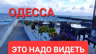 20 октября .Одесса.Тревожная обстановка.Как же я его люблю  Это надо видеть
